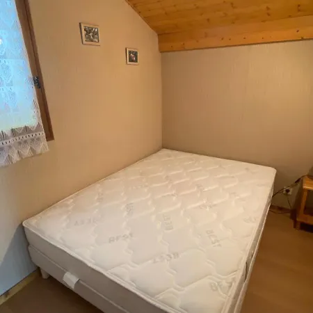 Lejlighed A Pres Des Pistes Et Du Lac, Avec Balcon - 25m², Parking Inclus - Fr-1-693-43 Châtel